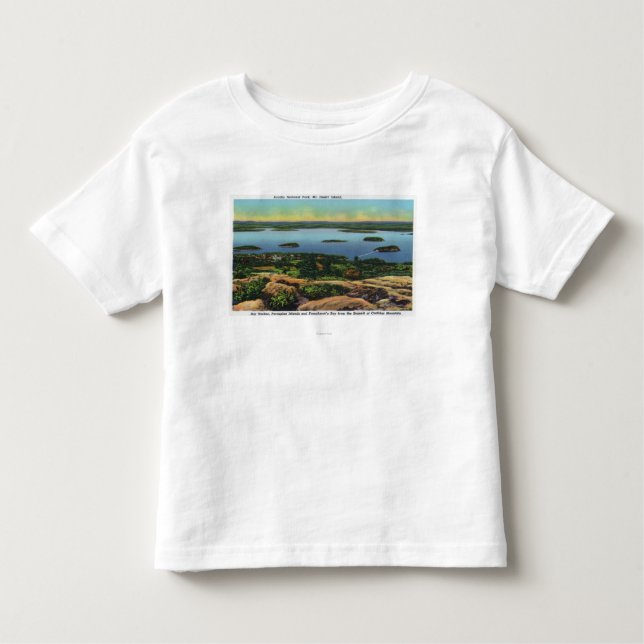 Cadillac Mt Summit View of Bar Harbor Toddler T-shirt (Front)