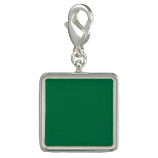 Cadmium green (solid color)  charm