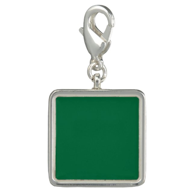Cadmium green (solid color)  charm (Front)
