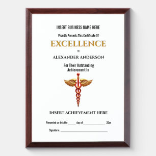 Caduceus gold red healthcare staff recognition award plaque