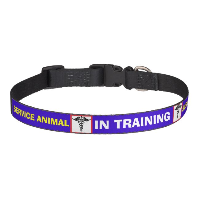 Caduceus IN TRAINING Service Animal Dog Collar (Front)