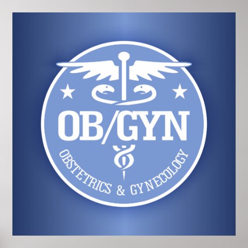 Caduceus OBGYN gift ideas Poster