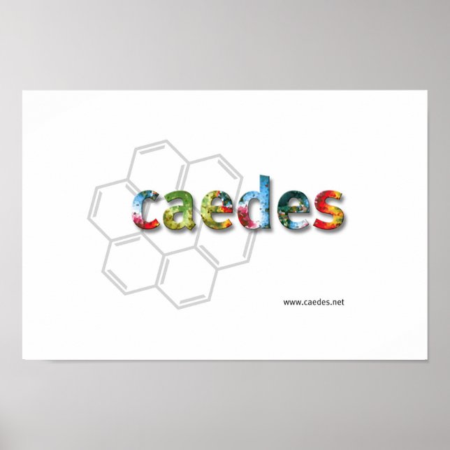 Caedes.net Logo Poster (Front)