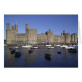 Caernarfon Castle, Gwynedd, Wales (RF) (Front Horizontal)