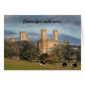 Caernarfon castle wales. (Front Horizontal)