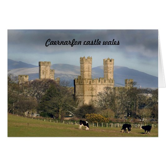 Caernarfon castle wales. cards (Front Horizontal)