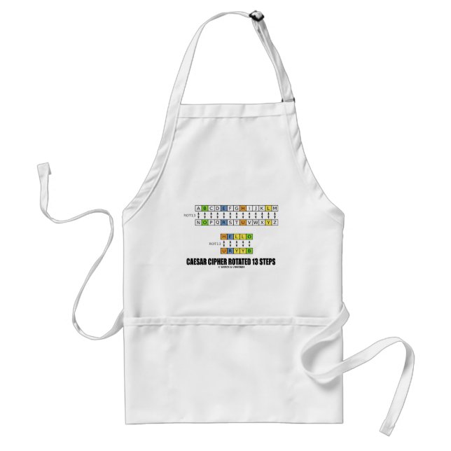 Caesar Cipher Rotated 13 Steps (Cryptography) Adult Apron (Front)