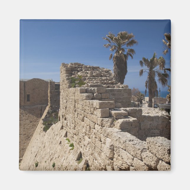 Caesarea ruins of port built by Herod the Great Magnet (Front)