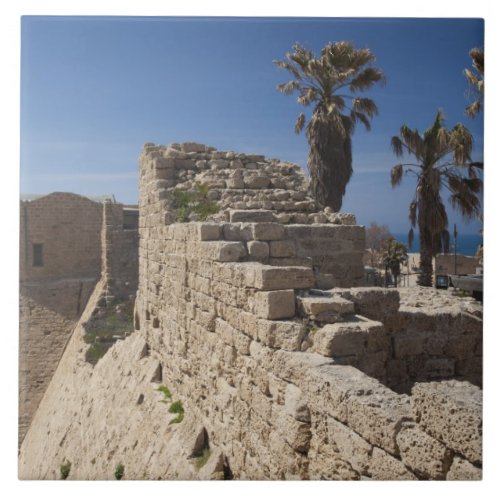Caesarea ruins of port built by Herod the Great Tile