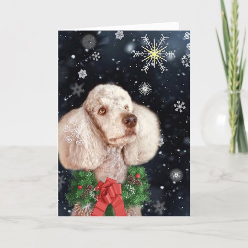 Cafe au Lait Colored Poodle with Snowflakes Holiday Card