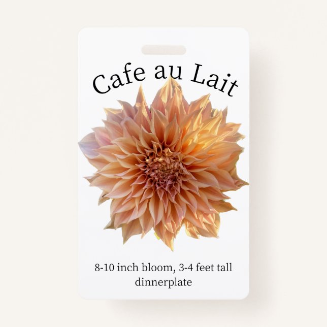 Cafe au Lait Dahlia ID Badge (Front)