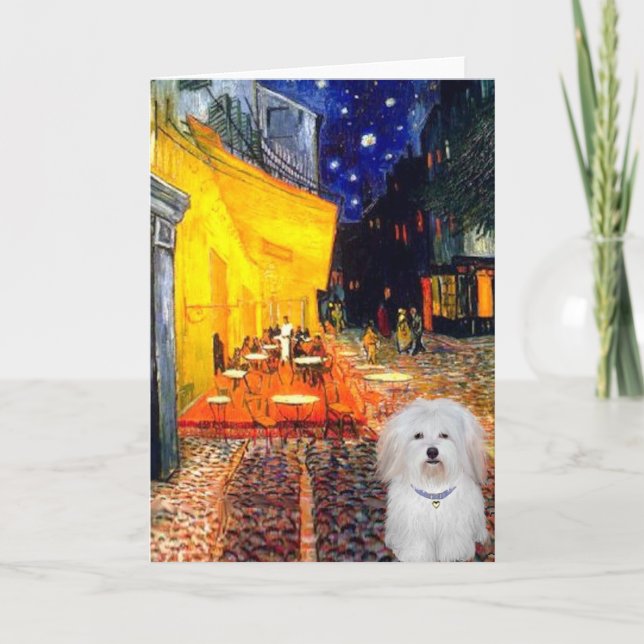 Cafe - Coton de Tulear 4b Card (Front)