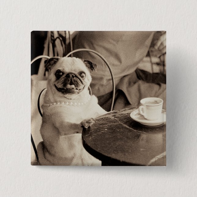 Cafe Pug Pinback Button (Front)