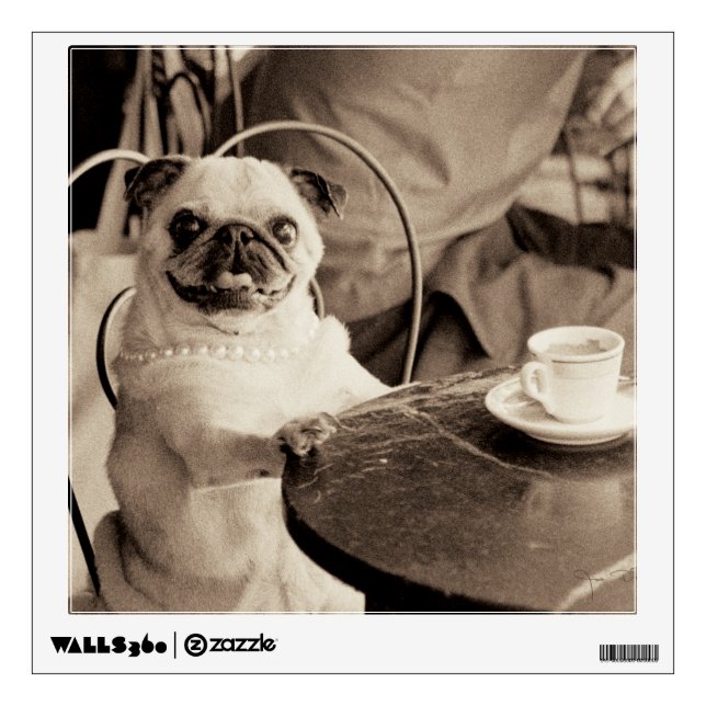 Cafe Pug Wall Sticker (Front)