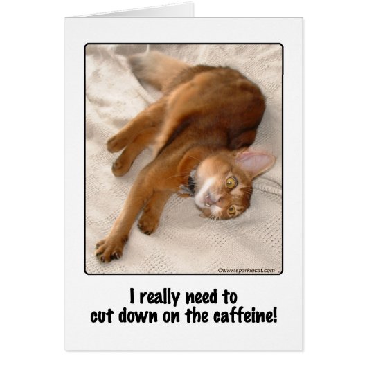 Caffeinated Cat Card (Front)