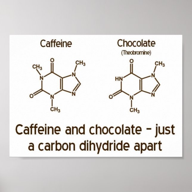 Caffeine and Chocolate Poster (Front)