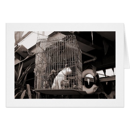 Caged Beasts Cards (Front Horizontal)