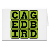 Caged Bird, Avian Pet (Front Horizontal)
