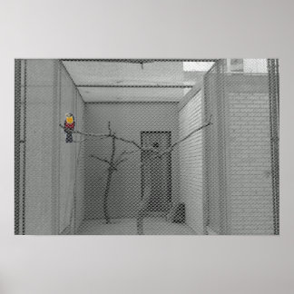 Caged bird poster