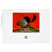 Caherine's poppy cards (Back Horizontal)