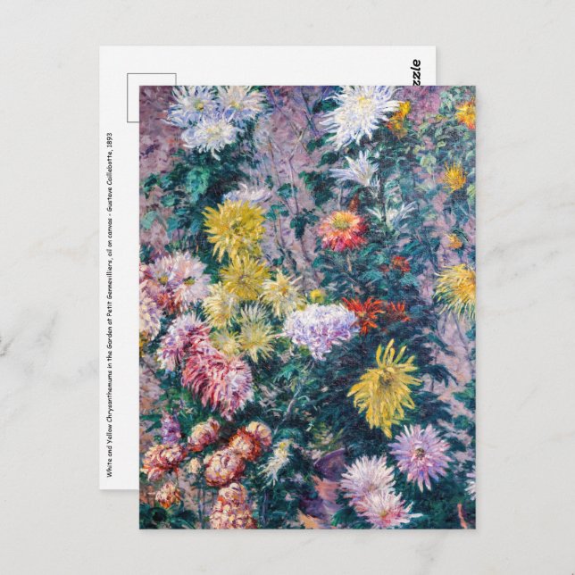 Caillebotte - White and Yellow Chrysanthemums Postcard (Front/Back)