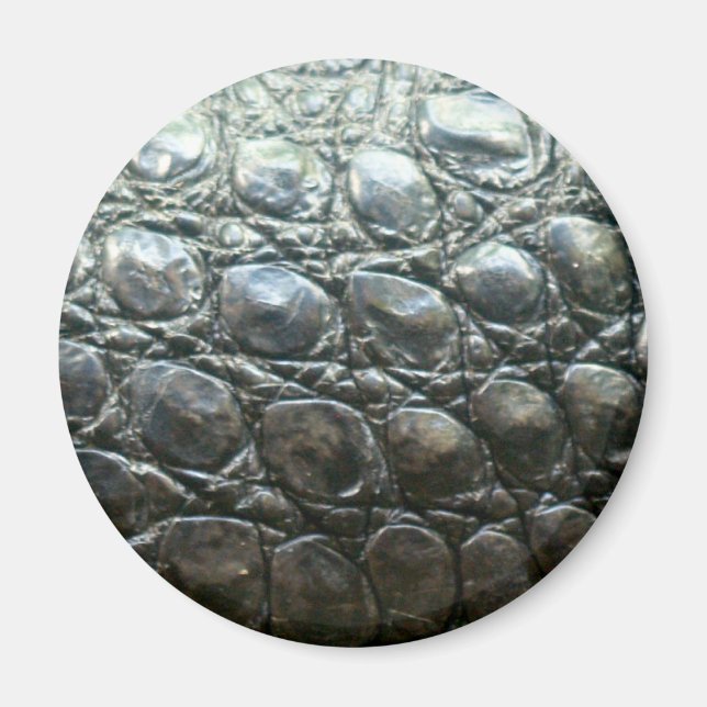 Caiman Crocodile Faux Alligator-Skin Design Magnet (Front)