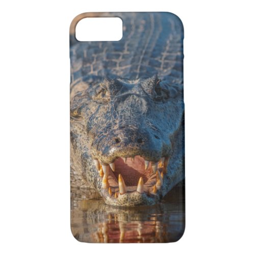 Caiman shows its teeth Brazil iPhone 87 Case