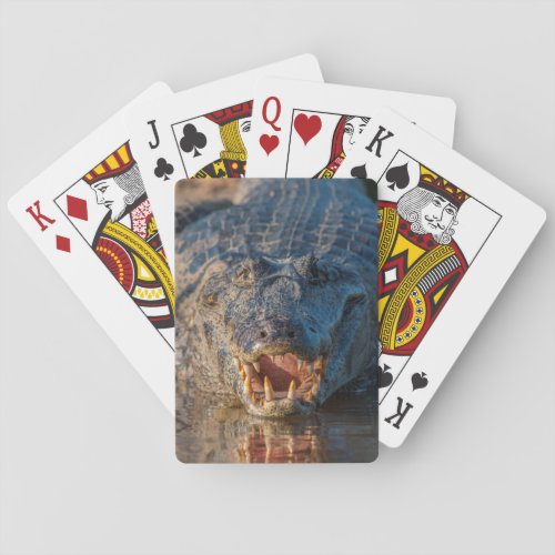 Caiman shows its teeth Brazil Playing Cards