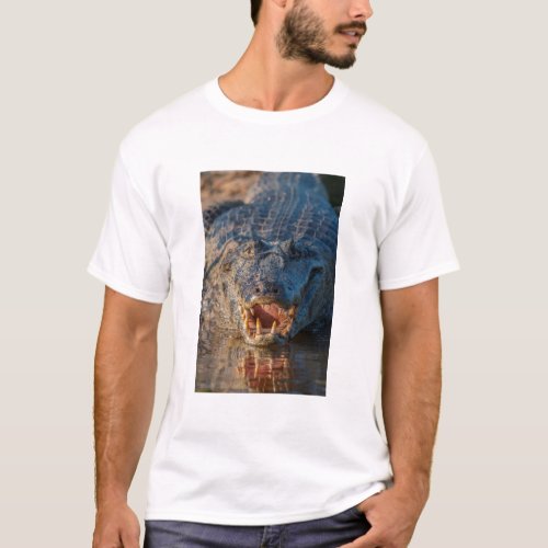 Caiman shows its teeth Brazil T_Shirt