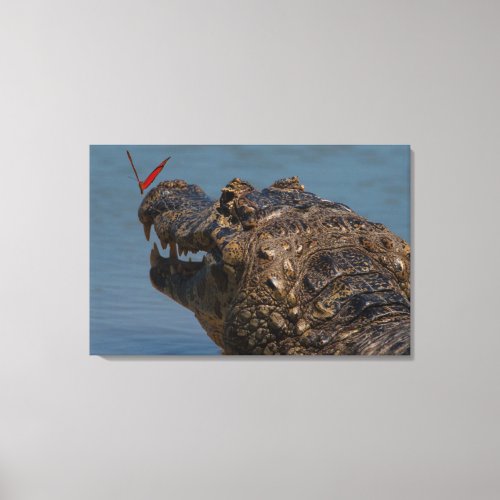 Caiman with a butterfly Brazil Canvas Print