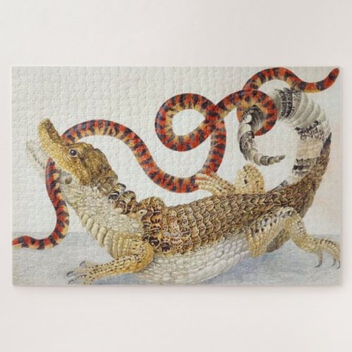 Caimans eating a orange and black snake jigsaw puzzle