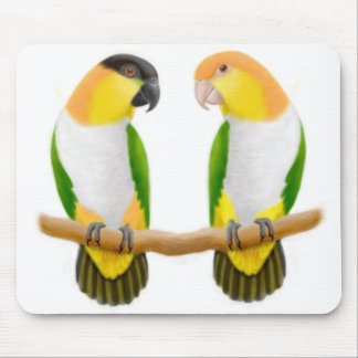 Caique Parrot Love Mousepad
