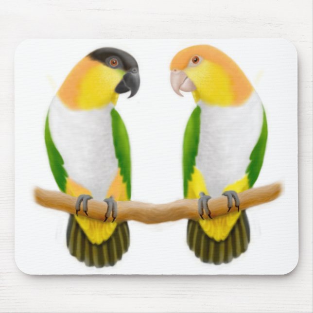 Caique Parrot Love Mousepad (Front)