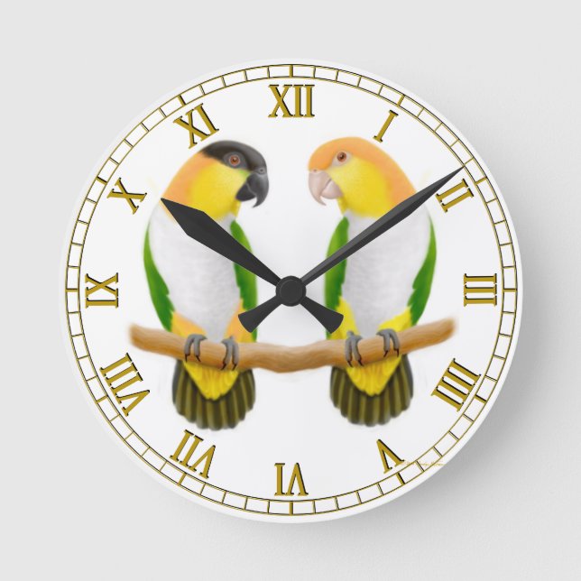 Caique Parrot Love Wall Clock (Front)