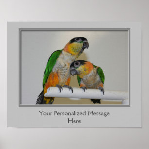 Caique Parrots Create Your Own Quote Personalized Poster