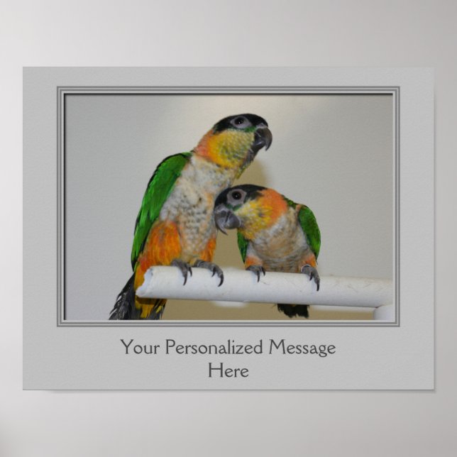 Caique Parrots Create Your Own Quote Personalized Poster (Front)