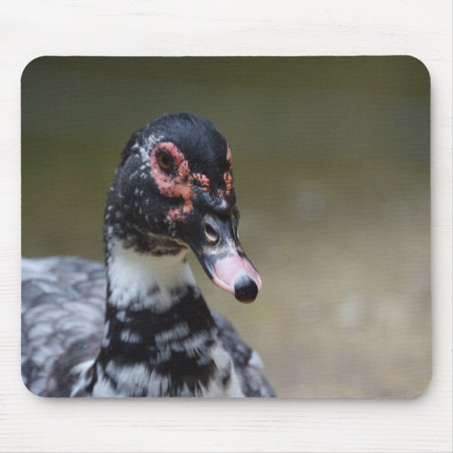 Cairina moschata domestica mouse pad (Front)