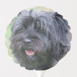Cairn balloon