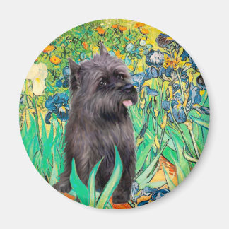 Cairn (Brindle 17) - Irises Magnet