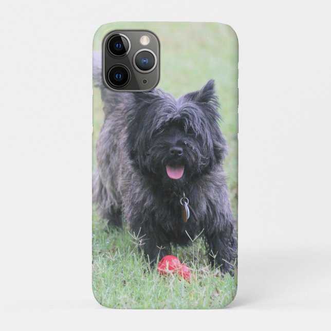 Cairn  Case-Mate iPhone case (Back)