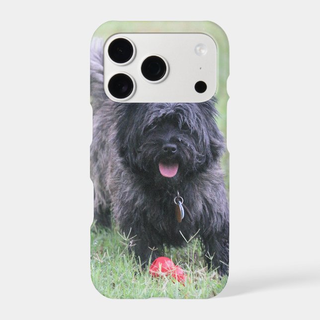 Cairn  iphone case (Back)
