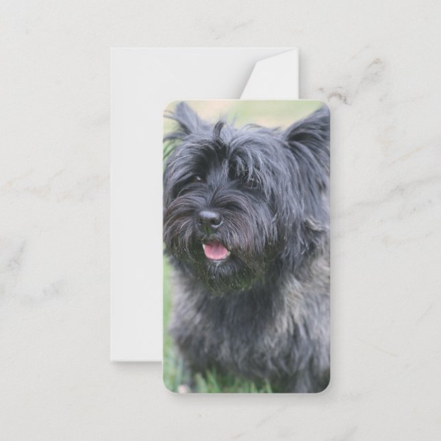 Cairn Note Card (Front)