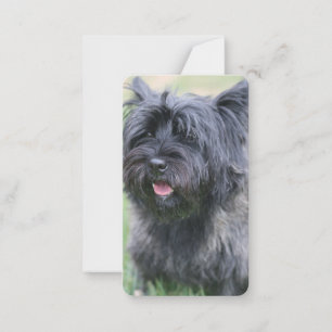 Cairn Note Card