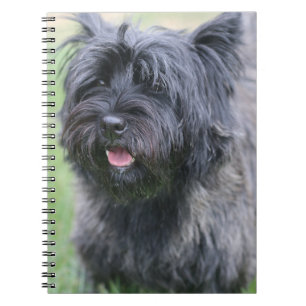 Cairn  notebook