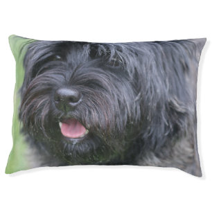 Cairn pet bed