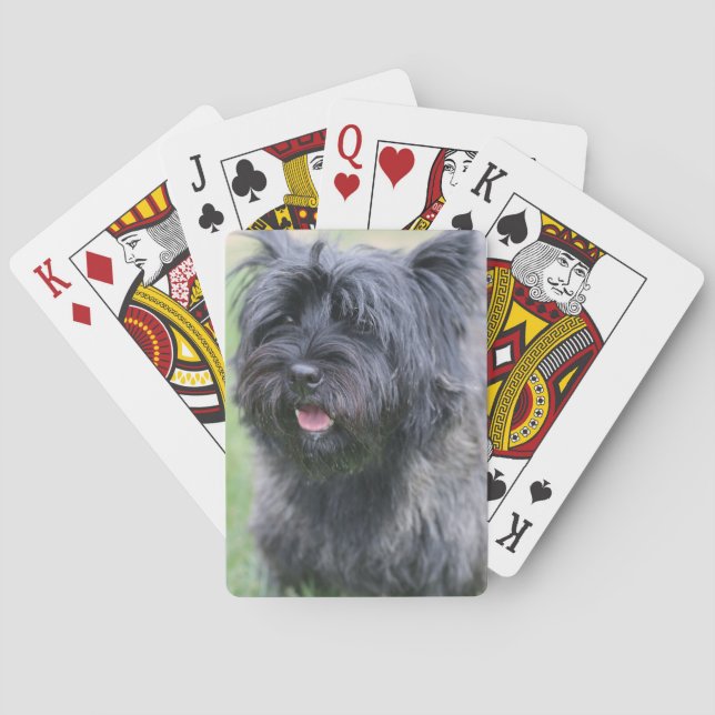 Cairn  poker cards (Back)