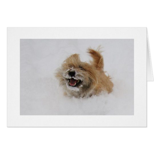 Cairn Pounce Card
