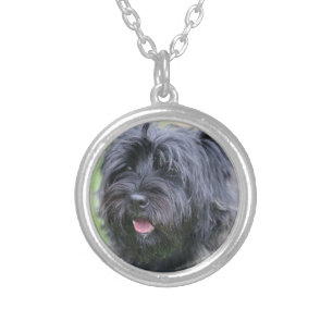 Cairn silver plated necklace