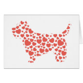 Cairn Terrier (Front Horizontal)