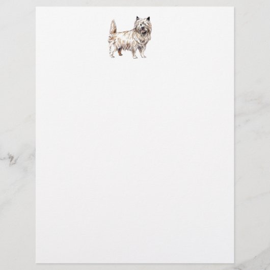 Cairn Terrier (Front)